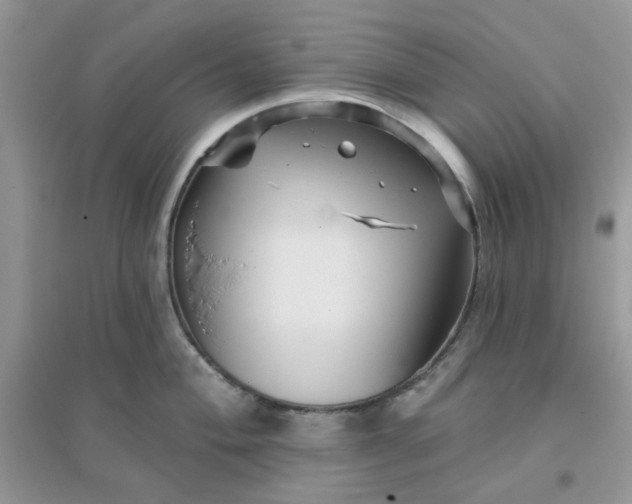X0000096131004200802011143