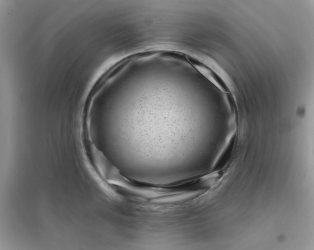 X0000096131005200802011143
