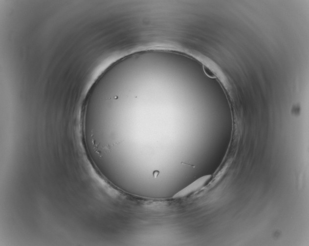 X0000096131006200802011143