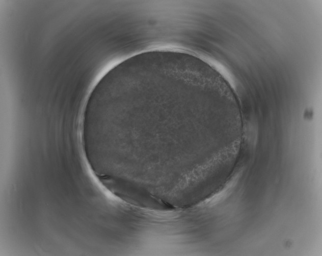 X0000096131007200802011143