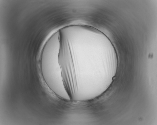 X0000096131008200802011143