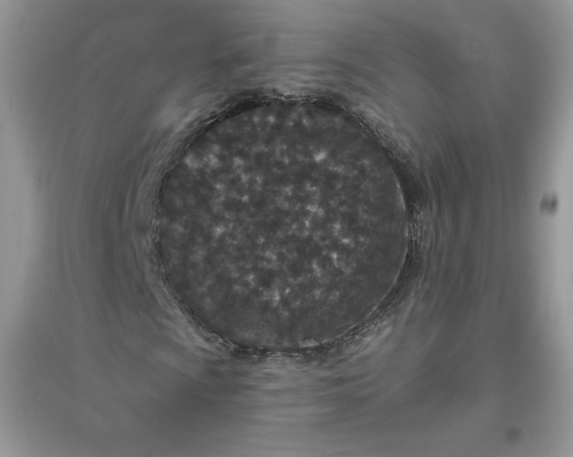 X0000096131009200802011143