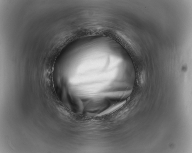 X0000096131010200802011143