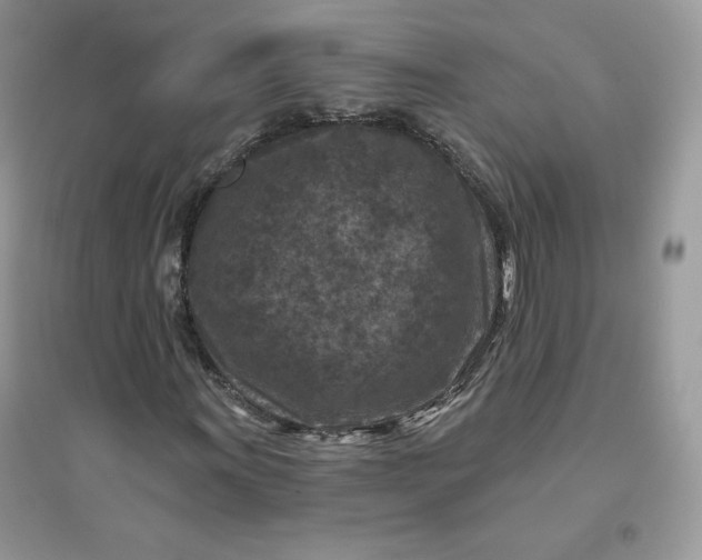 X0000096131011200802011143