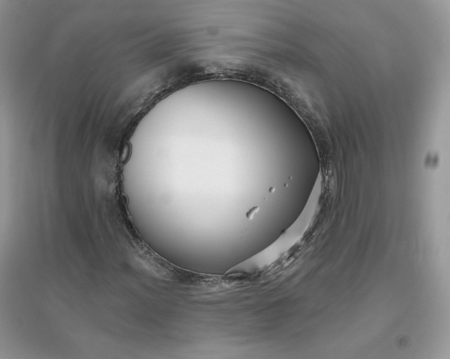 X0000096131012200802011143