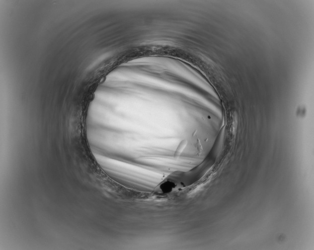 X0000096131014200802011143