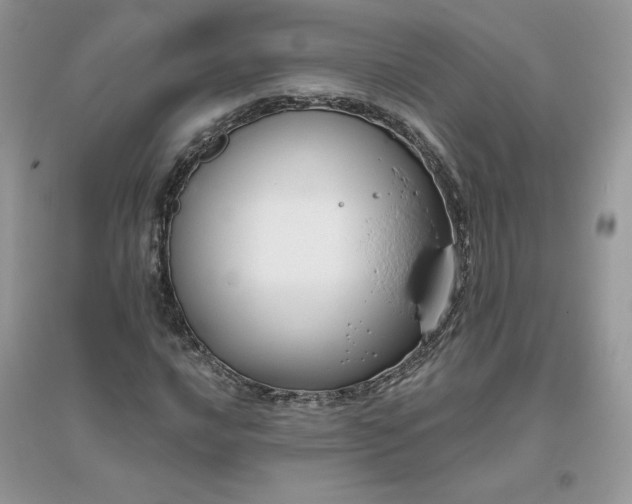 X0000096131016200802011143