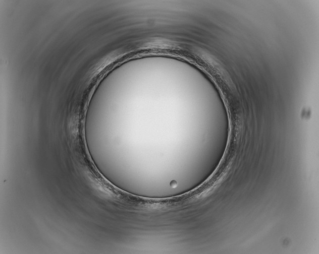 X0000096131017200802011143