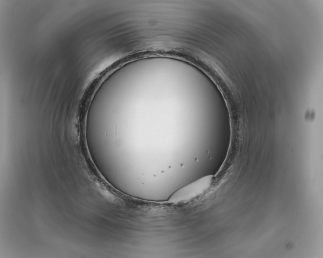 X0000096131018200802011143