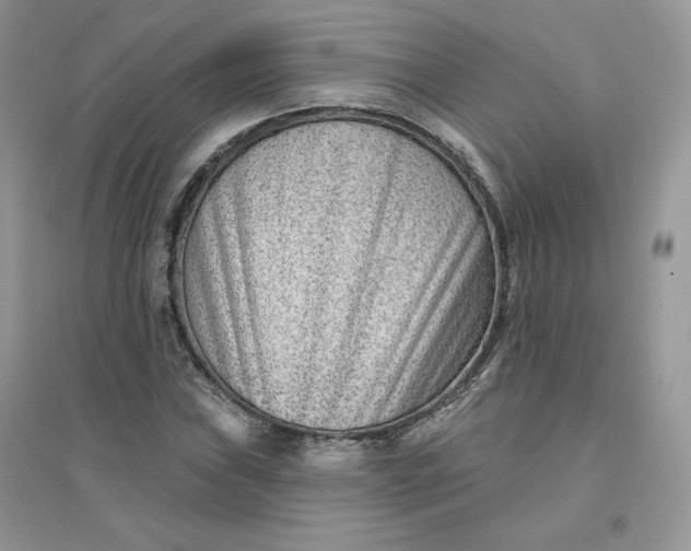 X0000096131019200802011143