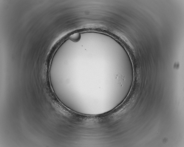 X0000096131021200802011143