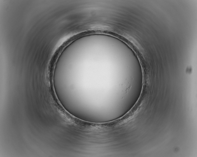 X0000096131022200802011143