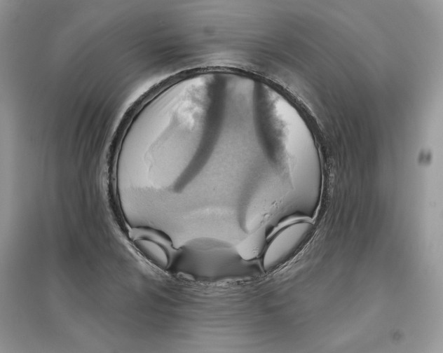 X0000096131024200802011143