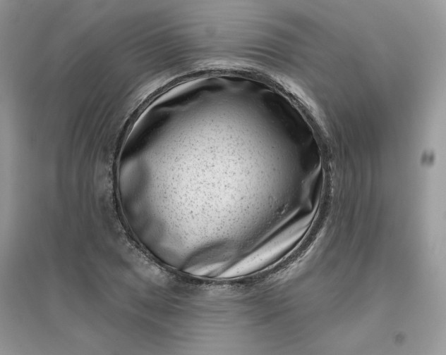 X0000096131025200802011143