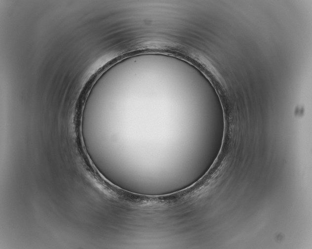 X0000096131026200802011143