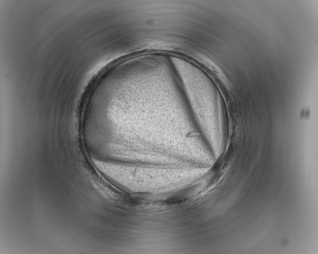X0000096131027200802011143