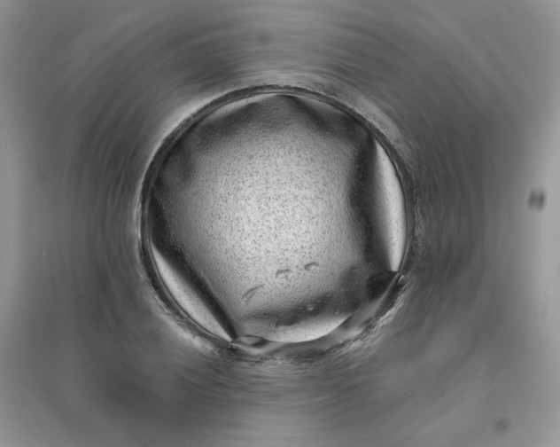X0000096131028200802011143