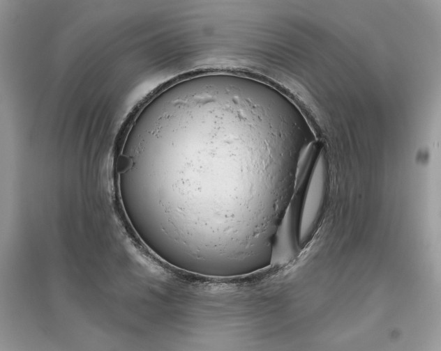 X0000096131030200802011143