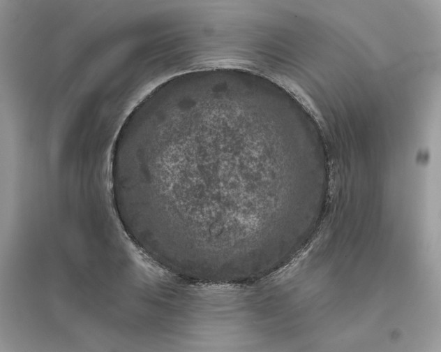 X0000096131031200802011143
