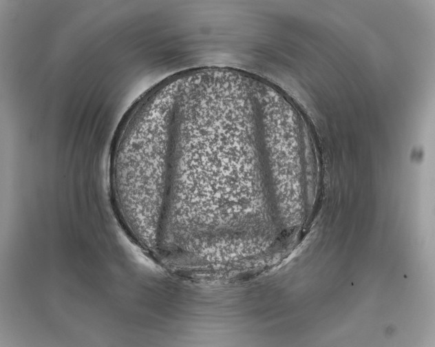 X0000096131032200802011143