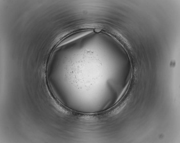X0000096131033200802011143