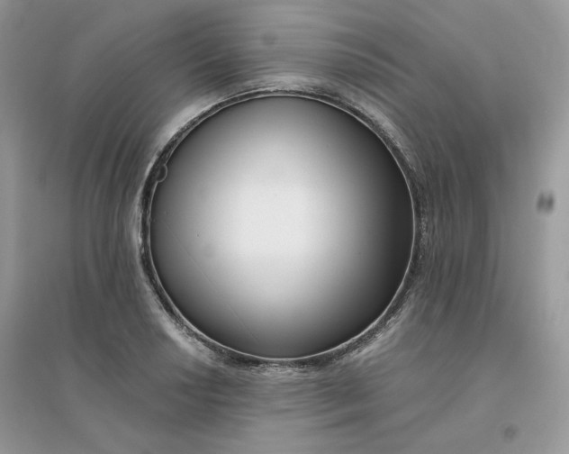 X0000096131034200802011143