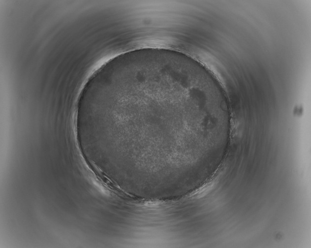 X0000096131035200802011143