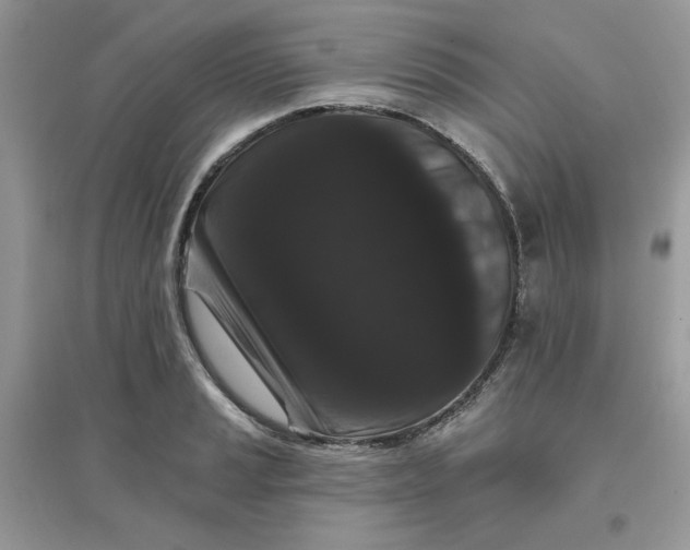 X0000096131037200802011143
