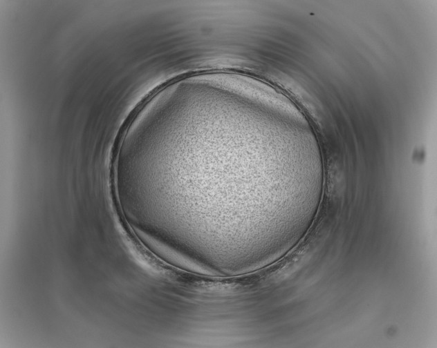 X0000096131039200802011143