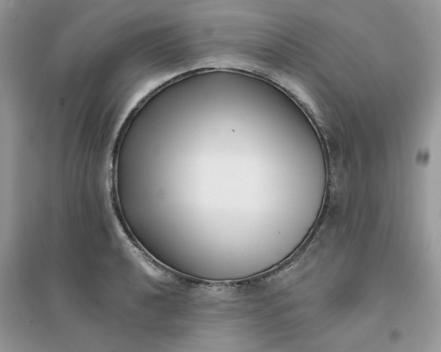 X0000096131040200802011143