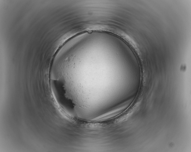 X0000096131041200802011143