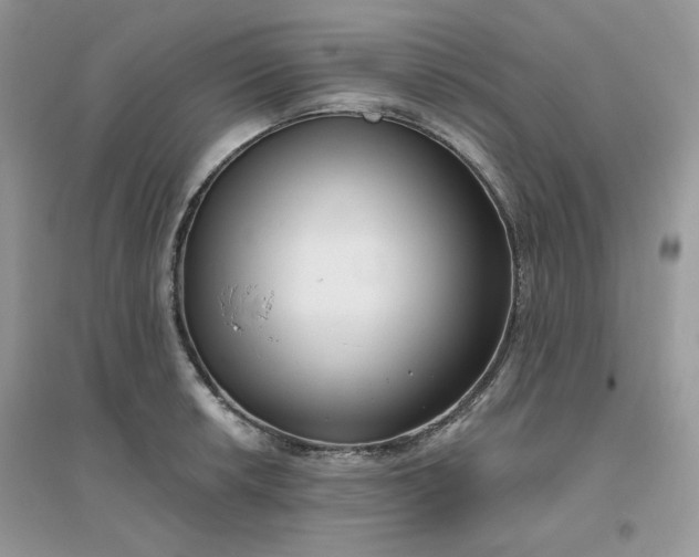 X0000096131042200802011143
