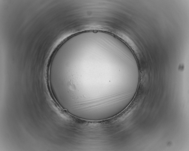 X0000096131043200802011143
