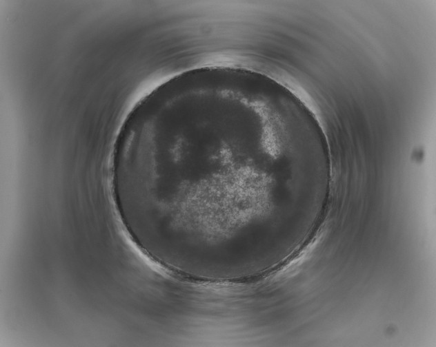 X0000096131045200802011143