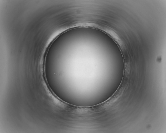 X0000096131046200802011143