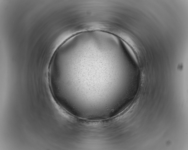 X0000096131047200802011143