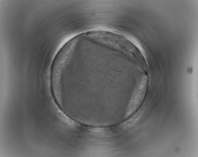 X0000096131048200802011143