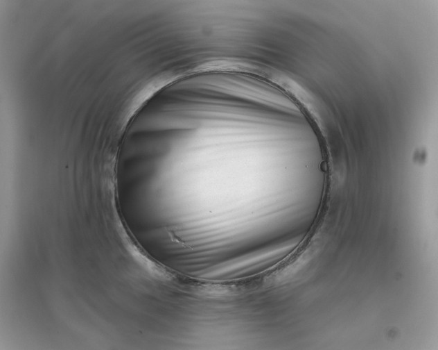 X0000096131049200802011143