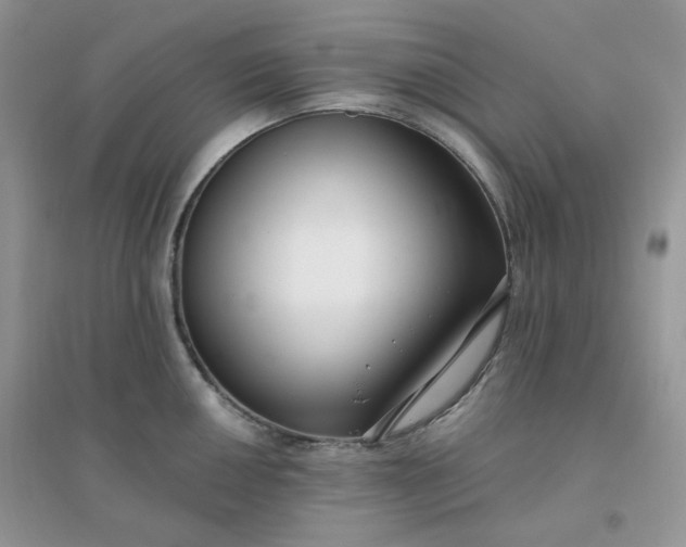 X0000096131050200802011143