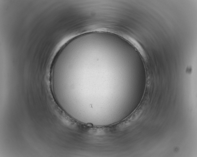 X0000096131051200802011143