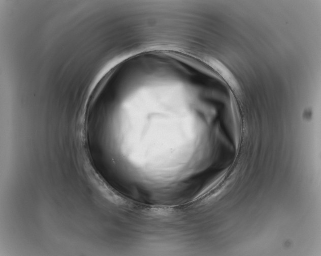 X0000096131052200802011143