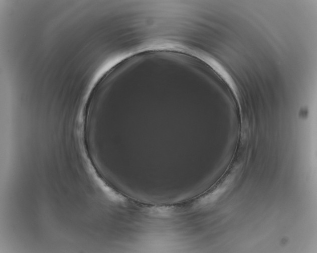 X0000096131053200802011143