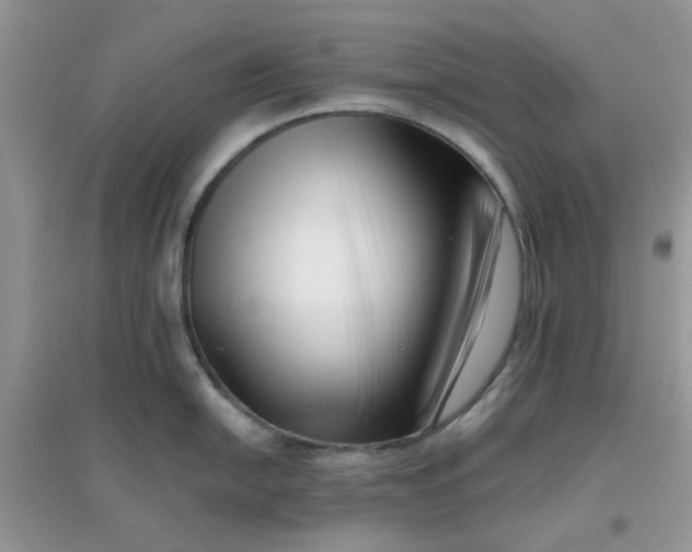 X0000096131054200802011143