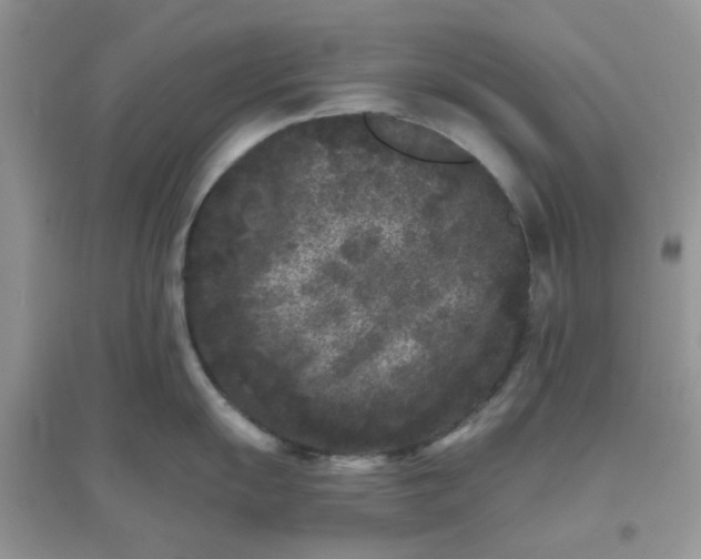 X0000096131055200802011143