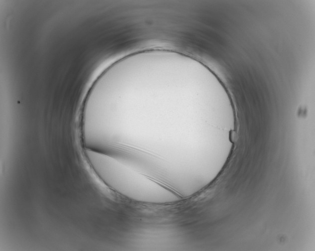 X0000096131056200802011143