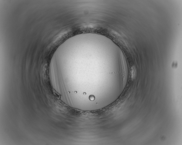 X0000096131059200802011143
