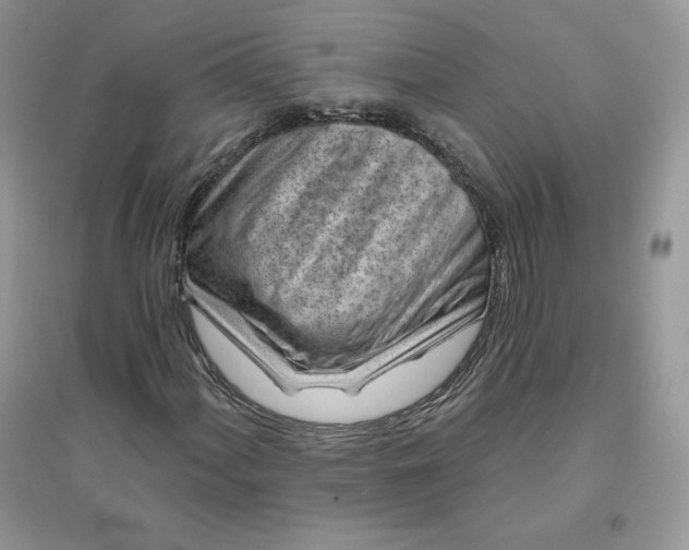 X0000096131060200802011143
