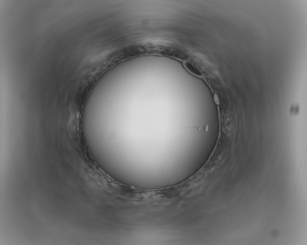 X0000096131061200802011143
