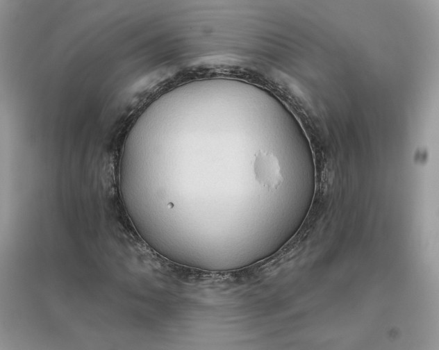 X0000096131062200802011143