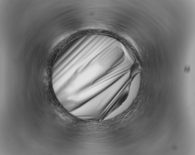 X0000096131064200802011143